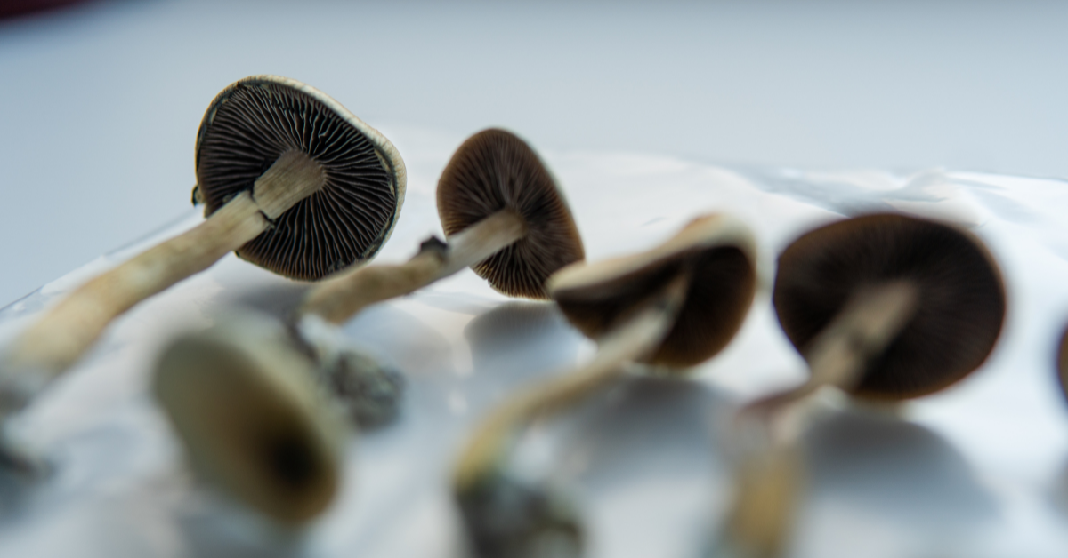 Can You Overdose On Shrooms | Harm Reduction Center